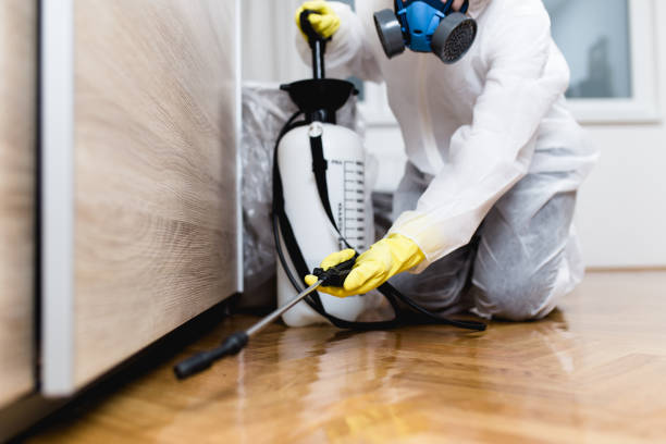 Insect Control in Mount Vernon, IL
