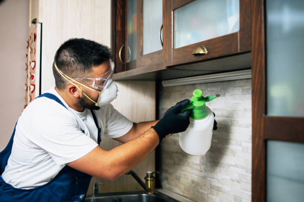 Best Best Pest Control Companies  in Mount Vernon, IL