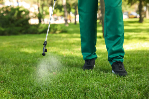 Best Pest Prevention Services  in Mount Vernon, IL