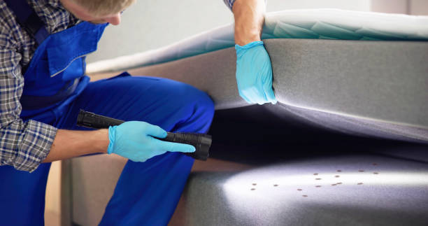 Best Pest Removal Services  in Mount Vernon, IL