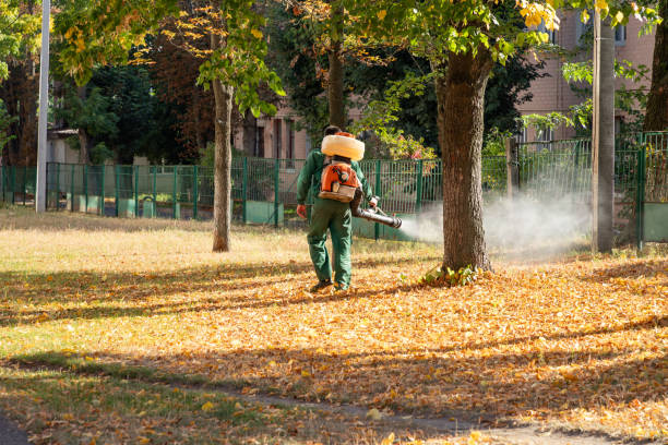 Best Flea Control Services  in Mount Vernon, IL