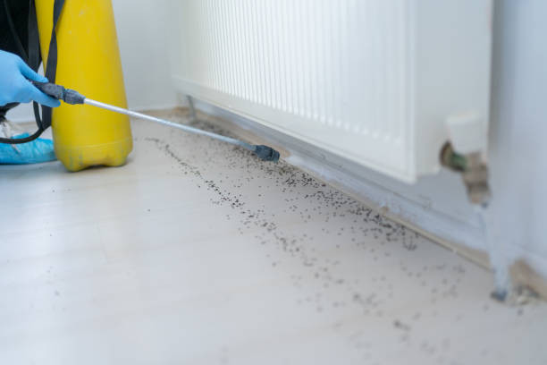 Pest Control Cost in Mount Vernon, IL