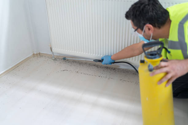 Best Emergency Pest Control  in Mount Vernon, IL