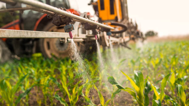 Best Pest Control for Homes  in Mount Vernon, IL
