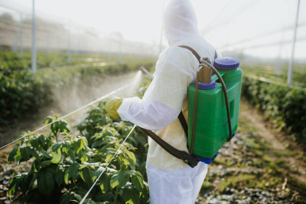 Best Residential Pest Control  in Mount Vernon, IL
